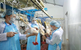 Khi Công nghệ chạm tới cơ sở: Câu chuyện Tiên Yên – Quảng Ninh