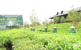 Khoa học và công nghệ dẫn dắt hành trình phát triển mới của Thái Nguyên