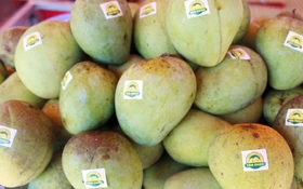 Sơn La bứt phá nhờ khoa học, công nghệ và đổi mới sáng tạo