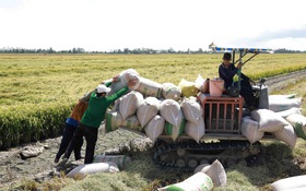An Giang - Phát triển KH,CN, ĐMST&CĐS là khâu đột phá chiến lược