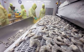 Cà Mau quyết tâm thực hiện hiệu quả Nghị quyết 57-NQ/TW của Bộ Chính trị