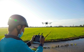 An Giang: Nâng cao hiệu quả điều hành, quản lý nhà nước trên cơ sở chuyển đổi số