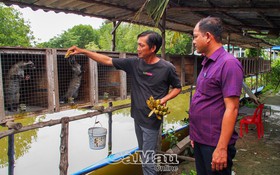 Cà Mau có thêm 3 xã đạt chuẩn nông thôn mới nâng cao