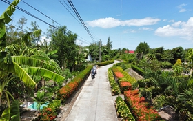 Xây dựng nông thôn mới thông minh ở Bạc Liêu và Cà Mau