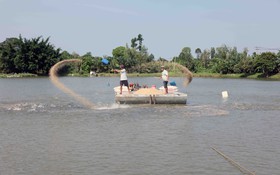 Cà Mau - Khai thác ưu thế công nghệ số