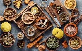 Thông tin kết quả thực hiện nhiệm vụ theo Nghị định thư mã số NĐT/MN/21/21
