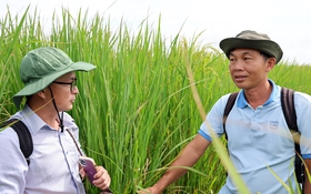 Nhà khoa học của nhà nông An Giang