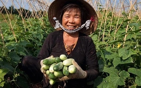 Triển khai hiệu quả chuyển đổi số trong xây dựng nông thôn mới