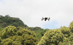 Bứt phá chuyển đổi số và AI