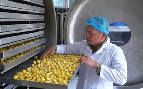 Chuyển đổi số: Đòn bẩy giúp doanh nghiệp Quảng Ninh tăng tốc sản xuất