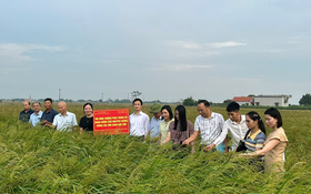 Khoa học công nghệ "Chìa khóa vàng" nâng cao sức cạnh tranh nông sản Ninh Bình