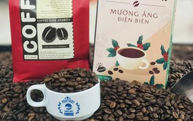 Bảo hộ chỉ dẫn địa lý “Mường Ảng” cho sản phẩm cà phê