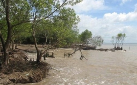 Biến đổi khí hậu và “cuộc đua mới”: Sức mạnh của AI và chuyển đổi số trong quản trị bền vững