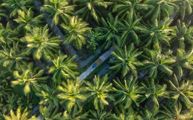 AgriS xây hệ sinh thái nông nghiệp tuần hoàn công nghệ cao 