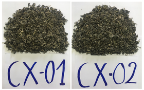 Bảo hộ chỉ dẫn địa lý “Tủa Chùa” cho sản phẩm chè xanh Shan tuyết và chè phổ nhĩ sống Shan tuyết