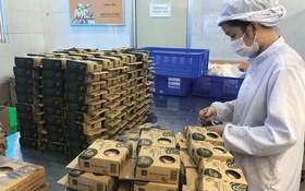 Quyền sở hữu trí tuệ đang trở thành “lá chắn” quan trọng đối với doanh nghiệp