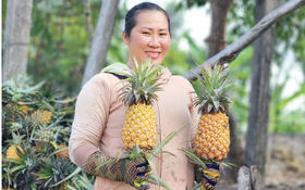 Cần Thơ chính thức ban hành Chương trình Phát triển tài sản trí tuệ đến năm 2030