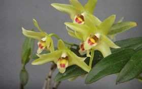 Thông tin nghiệm thu đề tài cấp quốc gia thuộc Chương trình 562, mã số ĐTĐL.CN-65/22