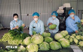 Digital technology – An inevitable trend in Hanoi’s agricultural production