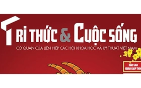 Xử phạt hành chính Báo Tri thức và Cuộc sống