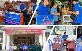 Đồng Tháp ghi nhận lượng tên miền .vn tăng trưởng gấp 40 lần