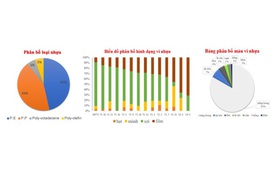 Hưởng ứng tuần lễ Biển và Hải đảo Việt Nam, Ngày Đại dương thế giới năm 2025