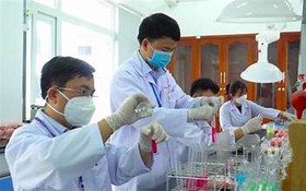 Thông tin nghiệm thu nhiệm vụ mã số NĐT/DE/21/08