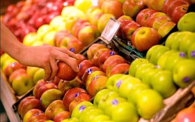 Bộ Khoa học và Công nghệ trả lời kiến nghị của cử tri thành phố Hồ Chí Minh gửi tới trước Kỳ họp thứ 9, Quốc hội khóa XV