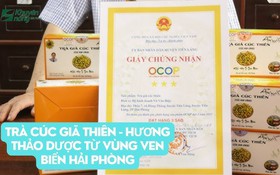 Trà Cúc Giã Thiên - Hương Thảo Dược Từ Vùng Ven Biển Hải Phòng