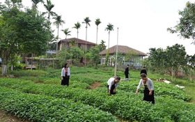 Mô hình sinh kế tiếp sức cho nhiều hộ nghèo ở Kỳ Anh