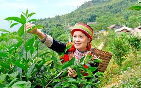 Lào Cai: Kinh nghiệm, hiệu quả truyền thông giảm nghèo bền vững