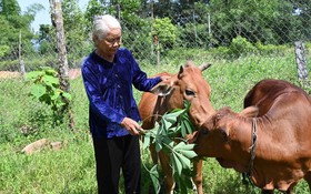 Mô hình giảm nghèo giúp người dân cải thiện thu nhập, chuyển biến nhận thức