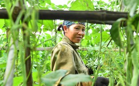 Đồng Tháp: Đào tạo nghề, tạo việc làm ổn định là giải pháp giảm nghèo bền vững
