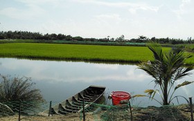 Nhân rộng mô hình nông dân sản xuất, kinh doanh giỏi