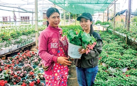 Hỗ trợ hợp tác xã tăng tốc chuyển đổi số