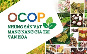 Tuyên Quang: Vững vàng mục tiêu giảm nghèo bền vững nhờ KHCN,ĐMST&CĐS