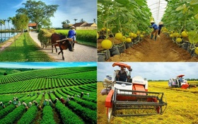 Lào Cai ứng dụng KHCN,ĐMST&CĐS: Đòn bẩy giảm nghèo bền vững, thu hẹp khoảng cách vùng miền