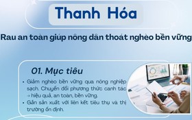 Thanh Hóa – Rau an toàn giúp nông dân thoát nghèo bền vững