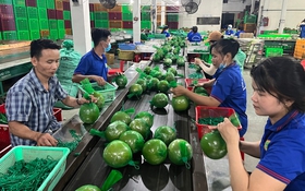 Khoa học công nghệ tạo bước đột phá cho nông nghiệp Bến Tre