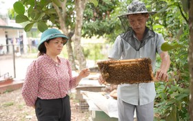 Giảm nghèo bền vững ở Sơn Động [Bài 4]: Bứt phá trong hành trình giảm nghèo