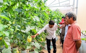 Hưng Yên: Phát triển kinh tế tập thể góp phần giảm nghèo