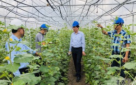 Đồng Nai: Ứng dụng công nghệ số, thúc đẩy tiêu thụ nông sản qua livestream và sàn thương mại điện tử