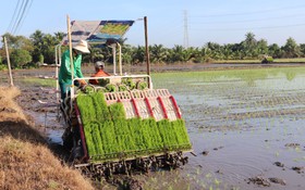 Tây Ninh bứt phá với nông nghiệp thông minh
