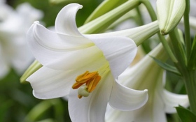 Thông tin kết quả thực hiện nhiệm vụ khoa học và công nghệ cấp quốc gia