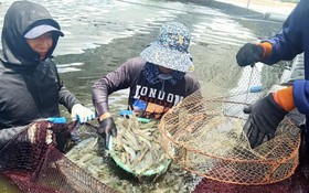 Hà Tĩnh thúc đẩy công nghiệp sinh học, nâng giá trị nông nghiệp