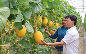 Hà Tĩnh tuyển chọn 7 nhiệm vụ khoa học, công nghệ và đổi mới sáng tạo năm 2026