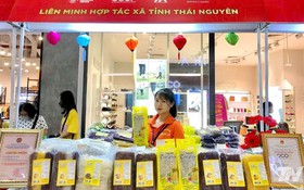 Ứng dụng công nghệ nâng cao giá trị sản phẩm OCOP vùng miền núi