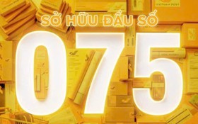 Tổng công ty Bưu điện Việt Nam trúng đấu giá đầu số 075