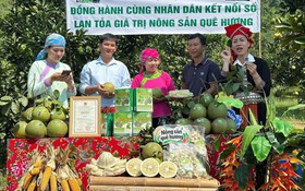 Ứng dụng công nghệ số mở rộng thị trường tiêu thụ nông sản