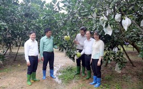 Tuyên Quang đặt hàng 31 nhiệm vụ khoa học, công nghệ và đổi mới sáng tạo năm 2026